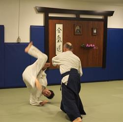 Aikido La Forge in Montréal, QC (Nouveau-Rosemont) - Opening Hours