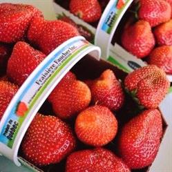 Fraisieres Faucher Inc, Pont-Rouge, QC opening hours