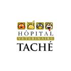 Veterinary Hospital Taché, Gatineau, QC opening hours
