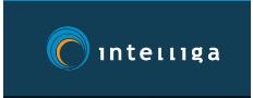 Intelliga Communications Ltd in Georgetown, ON (Erin Mills) - Opening Hours