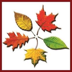 Landscapes The, Baysville, ON opening hours