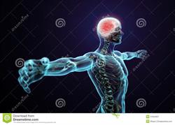 Sandalwood Chiropractic & Wellness Centre, Brampton, ON opening hours
