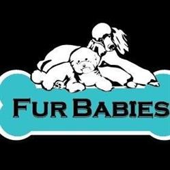 Fur Babies Dog Grooming, Brampton, ON opening hours