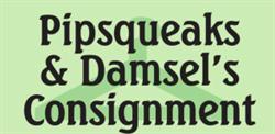 Pipsqueaks & Damsels Consignment, Penticton, BC opening hours