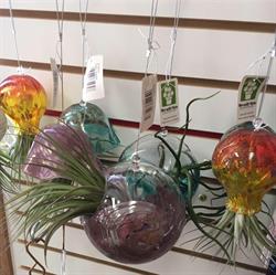 TG's Flowers & Crafts, La Crète, AB opening hours