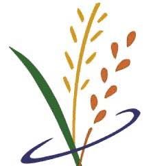 Palliser Regional Municipal Services, Hanna, AB opening hours