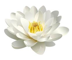 Nahid's Spa in Toronto, ON (Midtown Toronto) - Opening Hours