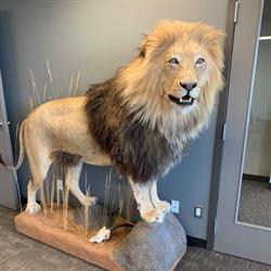 Taxidermy, Sherwood Park, AB opening hours