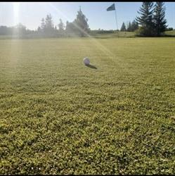 Albatros Golf Club in Québec, QC (L'aéroport) - Opening Hours
