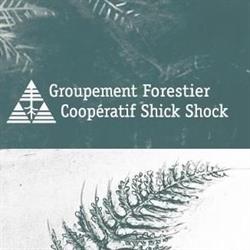 Groupement Forestier Shick Shock Inc, Sainte-Anne-des-Monts, QC opening hours