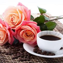 Traditions Garden Cafe & Gift Gallery, High Level, AB opening hours