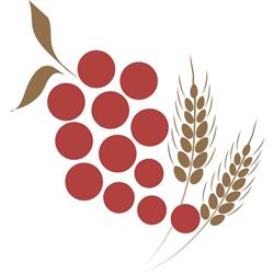 Brew It Store, Dieppe, NB opening hours