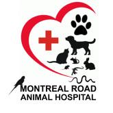 Walk-in Clinic and Urgent Care of Montreal Road Animal Hospital, Gloucester, ON opening hours