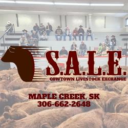 Cowtown Livestock Exchange Inc, Maple Creek, SK opening hours