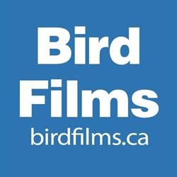 Bird Films Ltd, Regina, SK opening hours