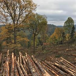 Groupement Forestier de Portneuf, Saint-Raymond, QC opening hours