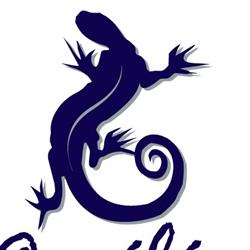 Pub Le Cameleon, Victoriaville, QC opening hours