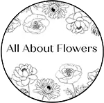 All About Flowers, Yorkton, SK opening hours