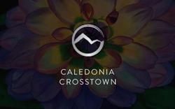 Caledonia Crosstown Dental Centre - York, opening hours