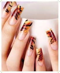 Five Stars Nails in Toronto, ON (The Beach) - Opening Hours