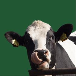 Dairy Lane Systems, Komoka, ON opening hours