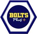 Bolts Plus Inc, Mississauga, ON opening hours
