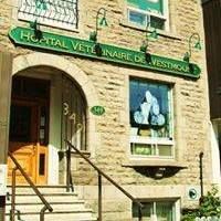 Hopital Veterinaire Westmount, opening hours