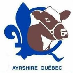 Ayrshire Quebec, Saint-Hyacinthe, QC opening hours