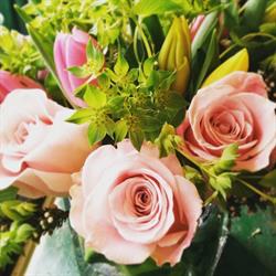 Passion Floral Boutique Inc, Burnaby, BC opening hours