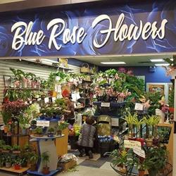 Blue Rose Flowers in Calgary, AB (Sunridge) - Opening Hours