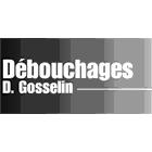 Débouchages D Gosselin, Saint-Lambert-de-Lauzon, QC opening hours