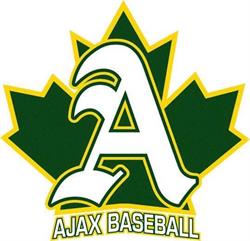 Ajax Spartans Minor Baseball, opening hours