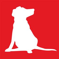 Barking Dog Studios Inc., Guelph, ON opening hours