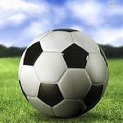 Scarboro Blizzard Youth Soccer Club, Scarborough, ON opening hours