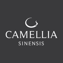 Camellia Sinensis in Québec, QC (Saint-Roch) - Opening Hours