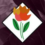 Demarco Perpich Fine Flowers in Toronto, ON (Trinity - Bellwoods) - Opening Hours