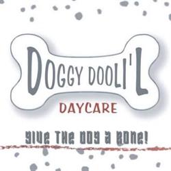 Doggy DooLil Daycare, Surrey, BC opening hours