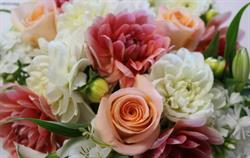Elderberry Floral & Gift Inc, Port Moody, BC opening hours