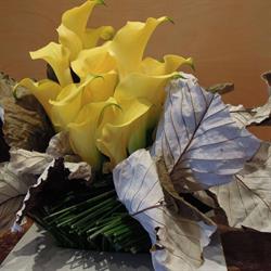 Fresh Florals in Toronto, ON (Midtown Toronto) - Opening Hours
