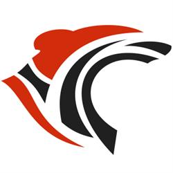 Roar Solutions, St. Catharines, ON opening hours