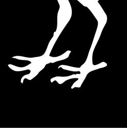Blackbyrd in Edmonton, AB (Strathcona) - Opening Hours