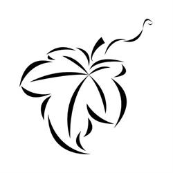 Vinum Grappa in Québec, QC (Sillery) - Opening Hours