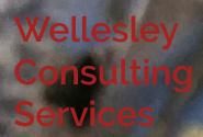 Wellesley Consulting Services, Mississauga, ON opening hours