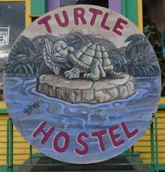 Turtle Hostel in Victoria, BC (North Park) - Opening Hours
