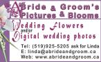 A Bride & Groom's Pictures & Blooms in Shelburne, ON (Dufferin County) - Opening Hours