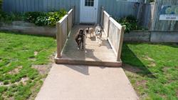 Kat's Lake Rd Kennels, Tatamagouche, NS opening hours
