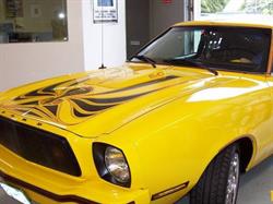Tyner Automotive, Port Coquitlam, BC opening hours