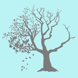 Breathing Space Bodywork in Vancouver, BC (Kitsilano) - Opening Hours