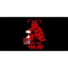 Ladybird Engraving & Web Creations Ltd, Port Alberni, BC opening hours