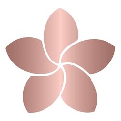 Skin Fx Inc. Professional Aesthetic Supplies in Edmonton, AB (Mcintyre Industrial) - Opening Hours